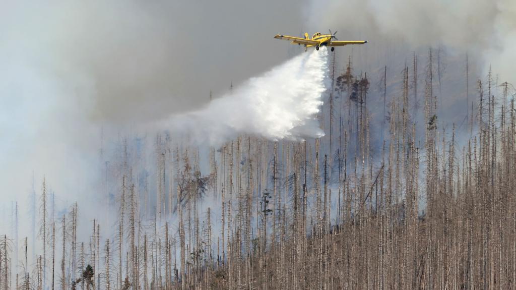 Battling Wildfires in Germany's Harz Mountains